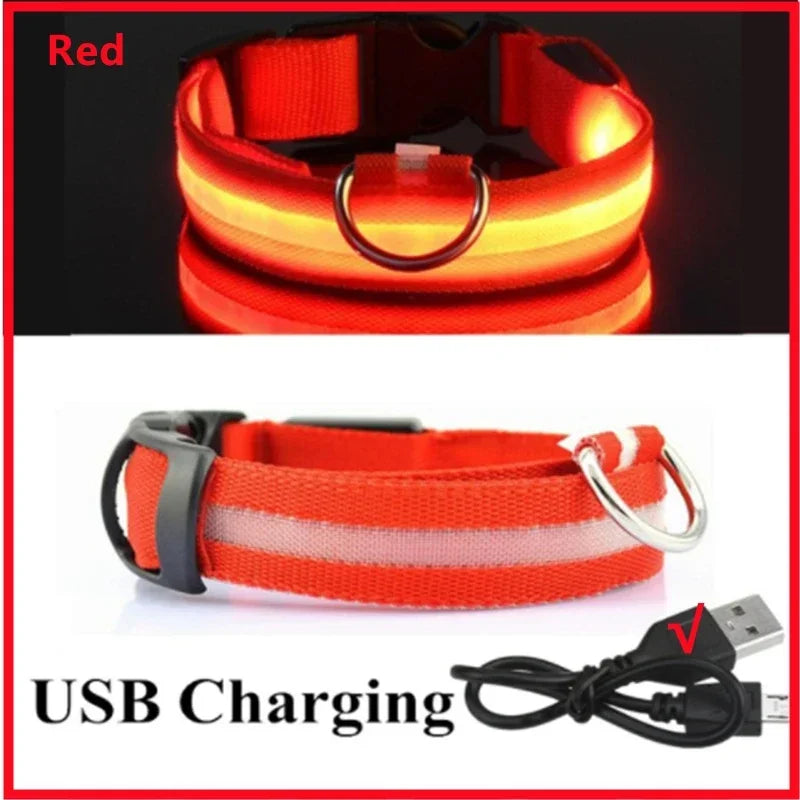 Light-Up LED Dog Collar (USB Rechargeable)