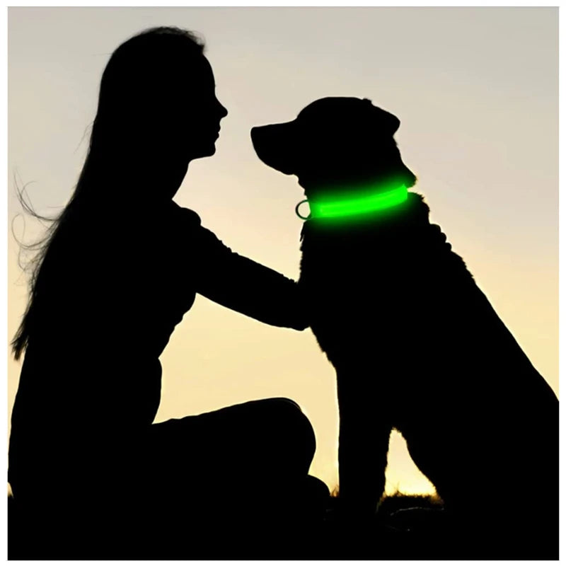 Light-Up LED Dog Collar (USB Rechargeable)