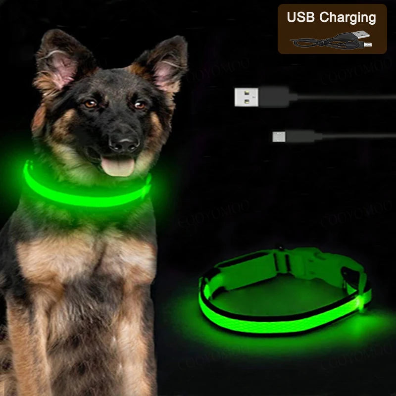 Light-Up LED Dog Collar (USB Rechargeable)