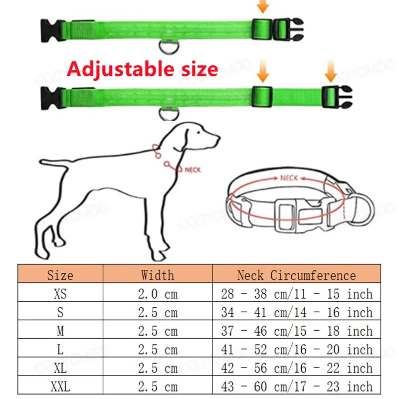 Light-Up LED Dog Collar (USB Rechargeable)