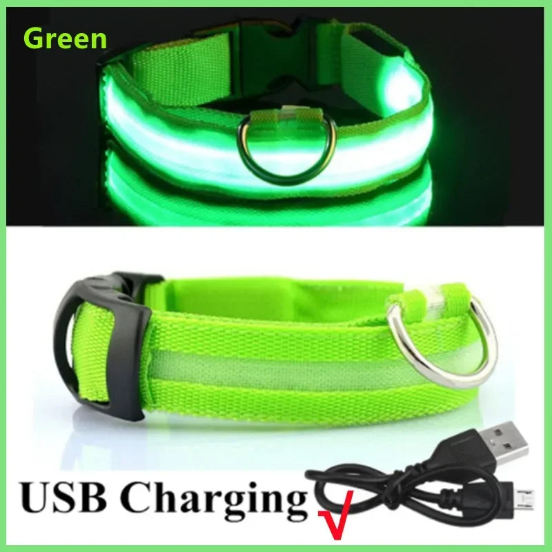 Light-Up LED Dog Collar (USB Rechargeable)