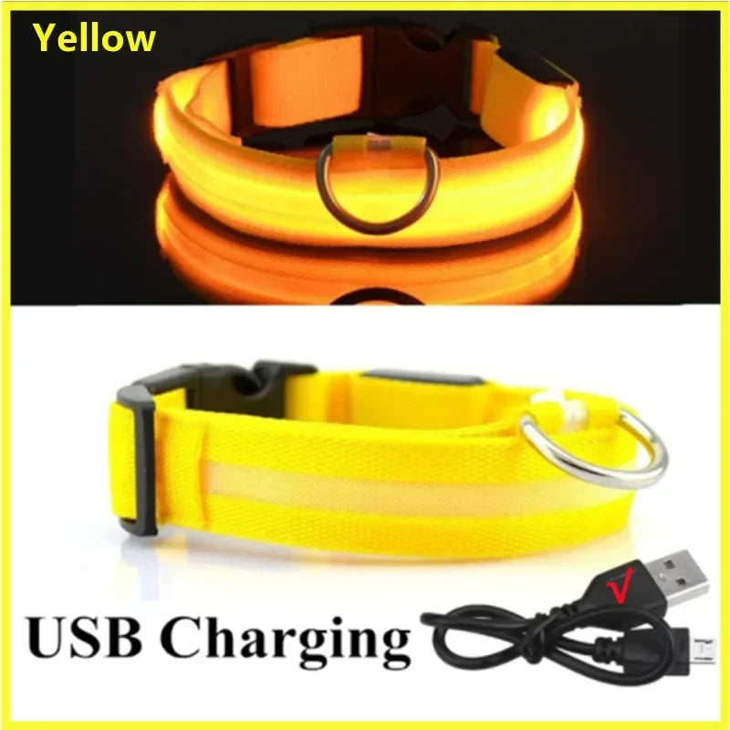 Light-Up LED Dog Collar (USB Rechargeable)