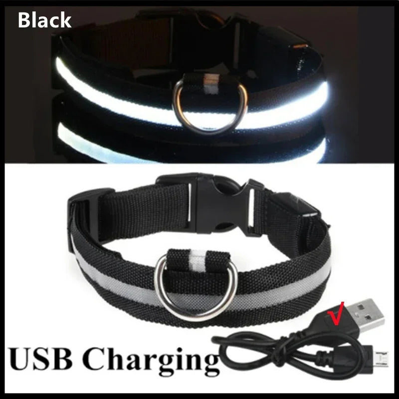 Light-Up LED Dog Collar (USB Rechargeable)