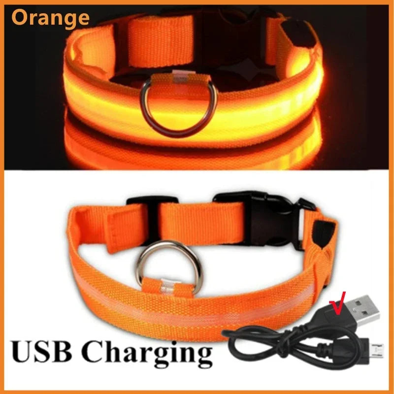 Light-Up LED Dog Collar (USB Rechargeable)