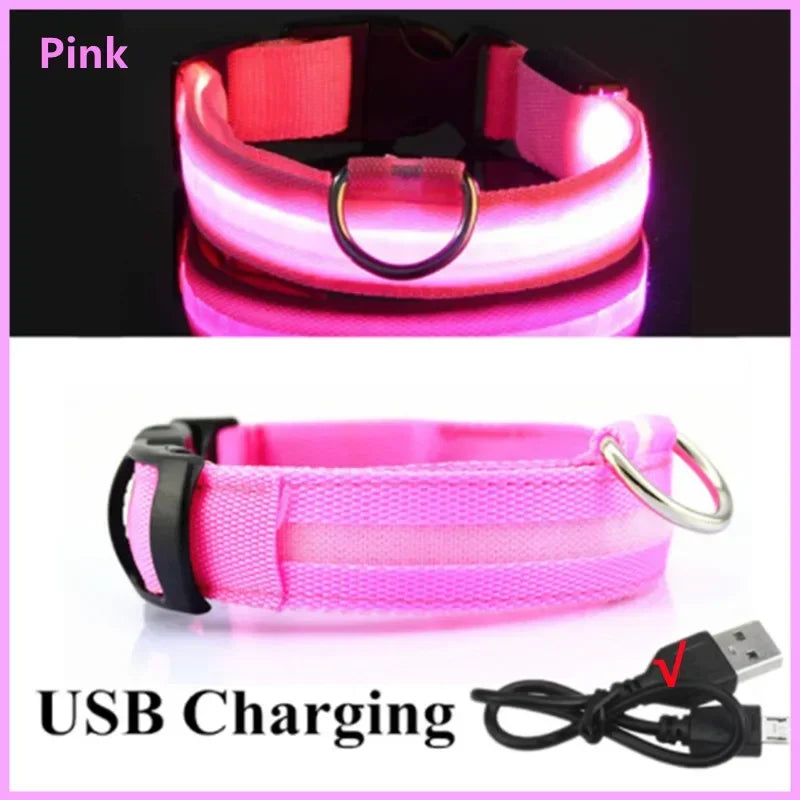 Light-Up LED Dog Collar (USB Rechargeable)