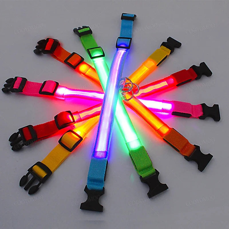 Light-Up LED Dog Collar (USB Rechargeable)