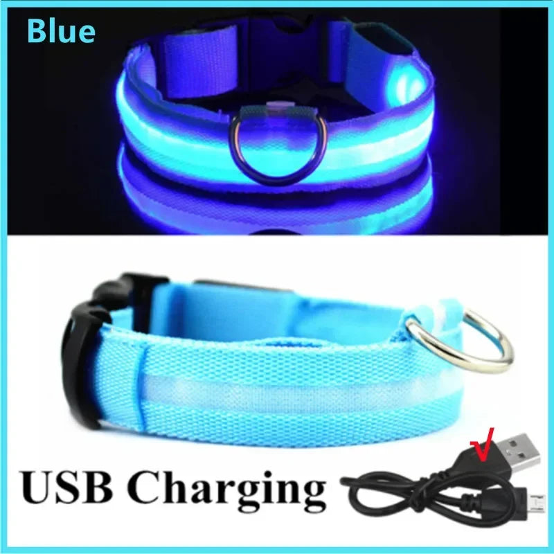 Light-Up LED Dog Collar (USB Rechargeable)