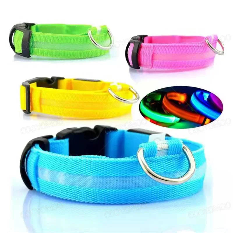 Light-Up LED Dog Collar (USB Rechargeable)